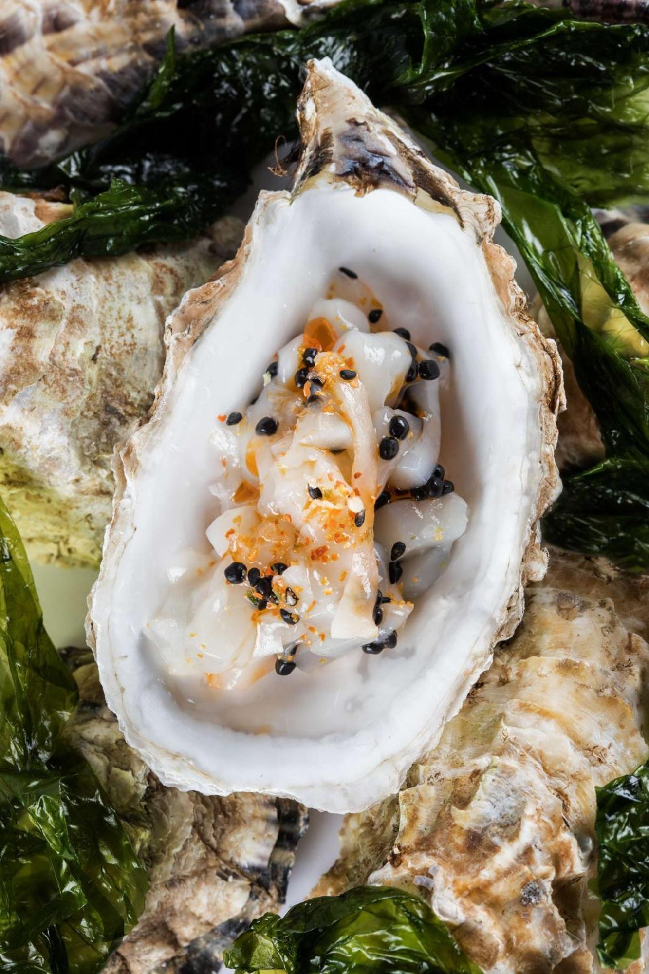 Nh Collection A Coruna Finisterre Exterior photo Oyster with soy sauce